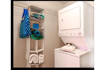 Select apartment homes have in home laundry rooms with washer and dryer connections